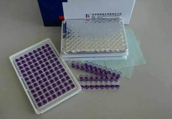 牛奶抗生素检测试剂盒