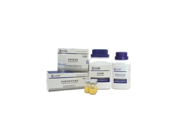木糖赖氨酸脱氧胆盐（XLD）琼脂  CM219