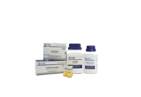 亚硫酸铋琼脂（BS）CM207